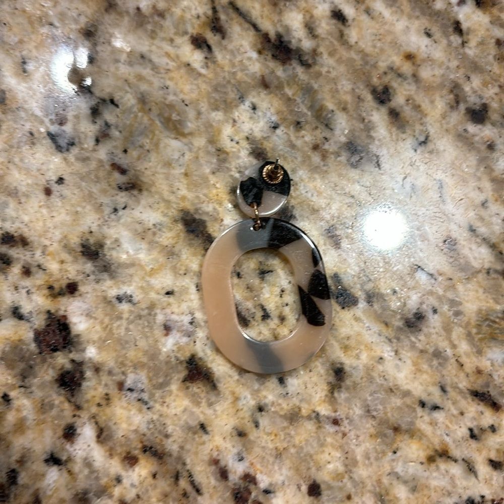 Turtle 🐢 Shell Ears - Picture 6 of 8